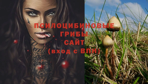 тгк Баксан
